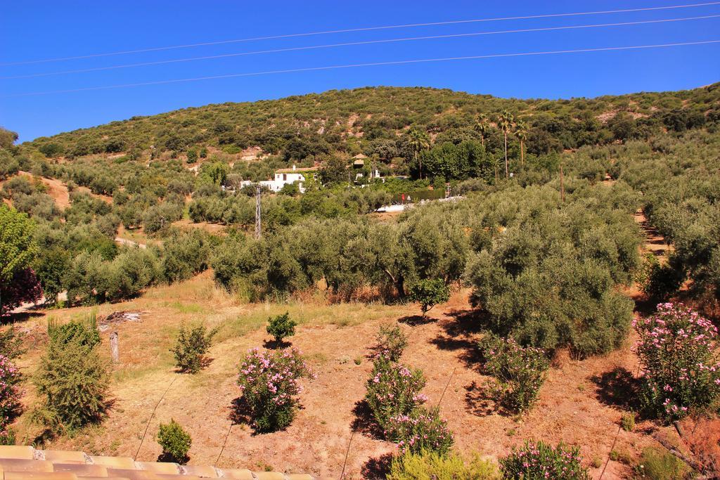 Hostal La Zamora Carcabuey Exteriör bild